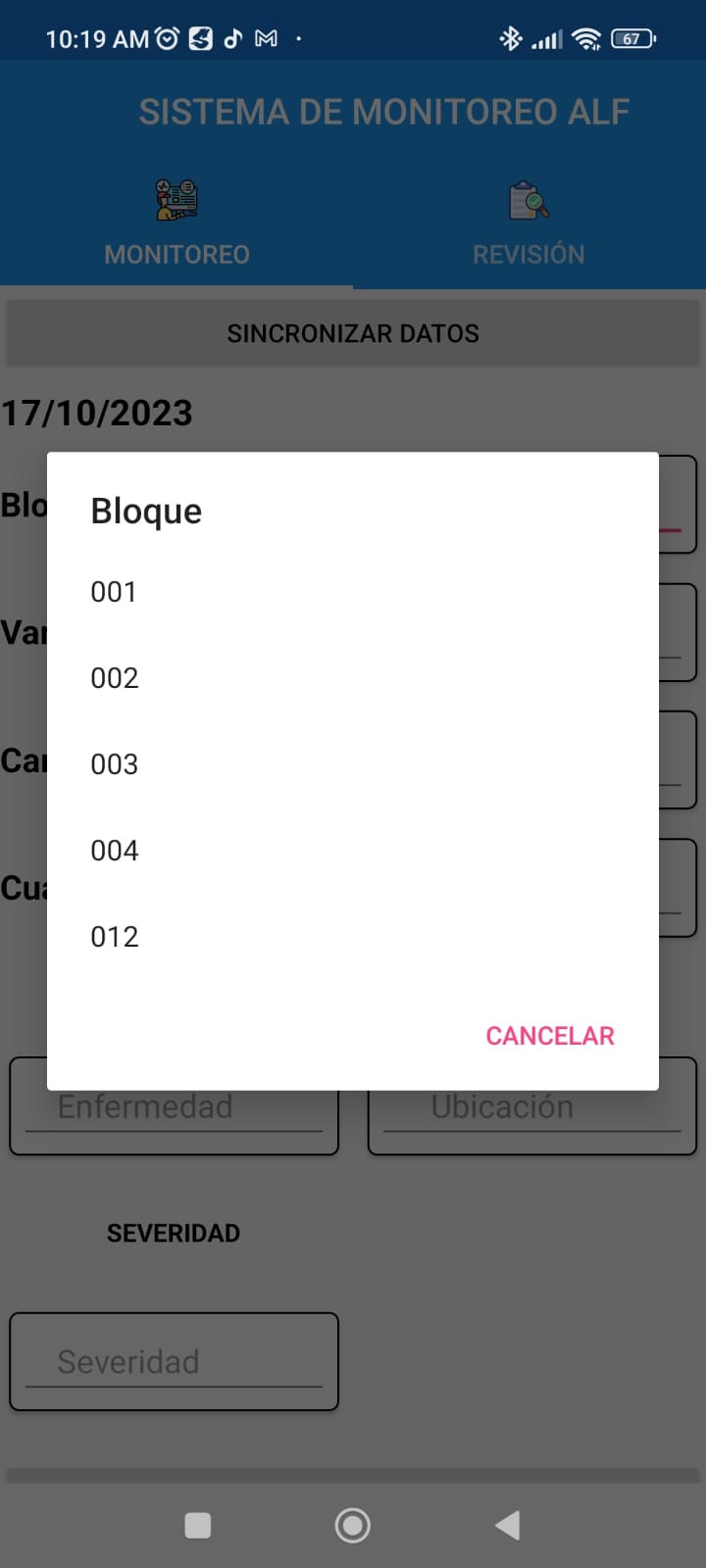 Selección Bloque